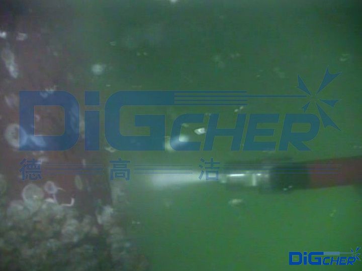 空（kōng）化清洗槍清洗（xǐ）船底海（hǎi）生物（wù）