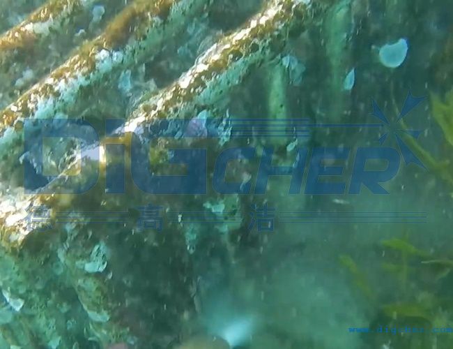 水下養殖（zhí）網箱清洗技術